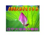 2005-5-10-grt-read04