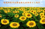 2005-5-11-chengdu945