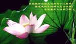 2005-5-11-chongqing-01