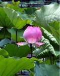 2005-5-11-dalian-jia-01