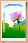 2005-5-11-yanji915