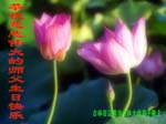 2005-5-12-liaoyuan837