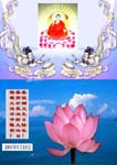 2005-5-13-shenzh-dfdz-01