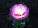 2005-5-13-xianning953