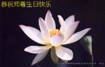2005-5-13-zibo947