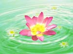 2005-5-14-anshan502