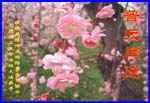 2005-5-14-grt-lningligong