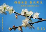 2005-5-14-shenzhou3498
