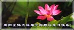 2005-5-14-shuangyang4232