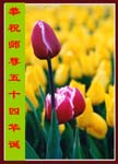 2005-5-16-huaihua235