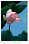 2005-5-16-zhengzhou250