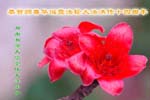 2006-5-10-chgr1035-14