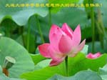 2006-5-10-chgr1035-26