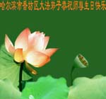 2006-5-10-chgr713-14