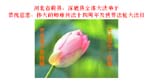 2006-5-10-chgr713-16