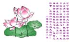 2006-5-10-chgr713-24