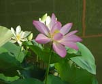 2006-5-12-gr213-03