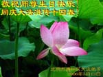 2006-5-12-gr226-08