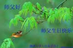 2006-5-12-gr226-09