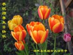 2006-5-12-gr345-04