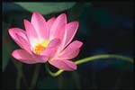 2006-5-12-gr345-16
