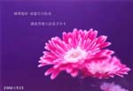 2006-5-12-gr345-22