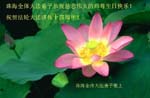 2006-5-12-gr345-26
