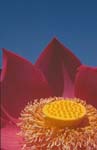 2006-5-12-greetings1028-20