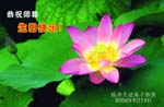 2006-5-12-greetings1028-21