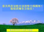 2006-5-12-greetings1028-22