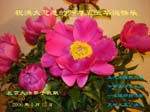 2006-5-12-greetings1028-43