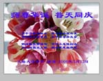 2006-5-13-greetings330-37