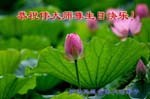 2006-5-14-greetings3491-03