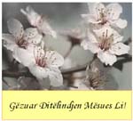 2006-5-15-greeting452-45