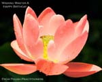 2006-5-19-greetings717-05