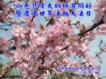 2006-5-8-greeting_0298