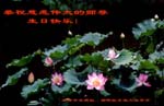 2006-5-9-chgr1055-11