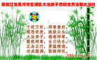 黑龙江省黑河市爱辉区大法弟子恭祝世界法轮大法日！恭祝师父传法二十一周年！