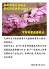天津市宁河县家庭资料点恭祝师尊生日快乐！庆世界法轮大法日！