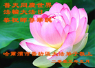 黑龙江省哈尔滨市香坊区大法弟子恭贺慈悲伟大的师父生日快乐！