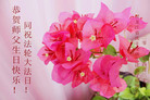 黑龙江省庆丰县全体大法弟子恭祝师父生日快乐！同祝法轮大法日！