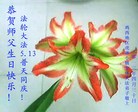 黑龙江省鸡西地区虎林小镇全体大法弟子恭祝师父生日快乐！庆法轮大法日！