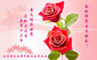 黑龙江省佳木斯大法弟子恭祝师尊生日快乐！普天同庆世界法轮大法日！