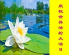黑龙江省牡丹江大法弟子恭贺世界法轮大法日！