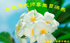 北京大法弟子恭祝伟大师尊生日快乐！