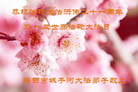 黑龙江省鸡西城子河大法弟子恭贺大法洪传二十一周年暨法轮大法日！