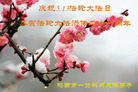 黑龙江省鸡西一资料点大法弟子恭贺大法洪传二十一周年暨法轮大法日！