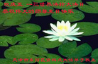 天津市东丽区资料点大法弟子欢庆五一三世界法轮大法日！恭祝伟大的师尊生日快乐！