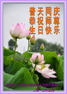 天津市三个学法小组全体大法弟子恭祝师尊生日快乐！