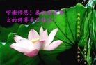 黑龙江省鸡西市鸡冠区一大法弟子恭祝慈悲伟大的师尊生日快乐！